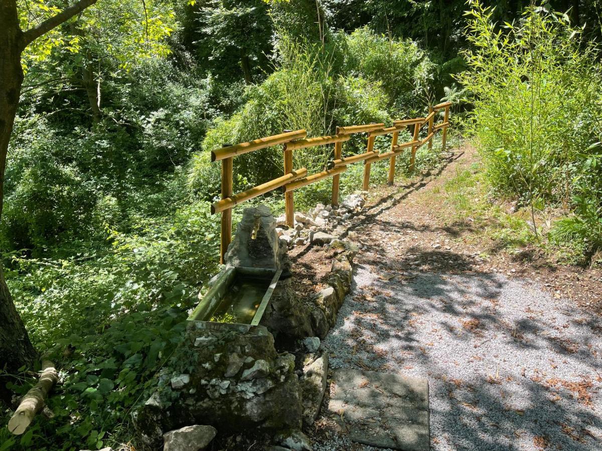 Appartamenti Lago Di Como Valbrona Exteriér fotografie